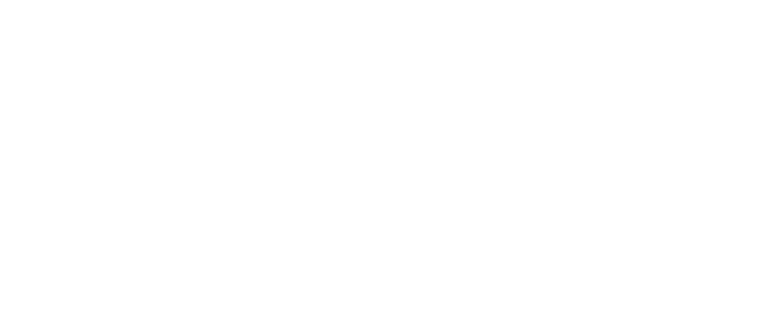 Network Electronics products sourcing
